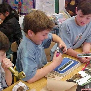 Wie schön die Schule doch noch ist